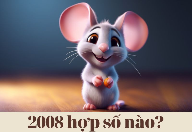 2008 hợp số nào để đem lại may mắn?