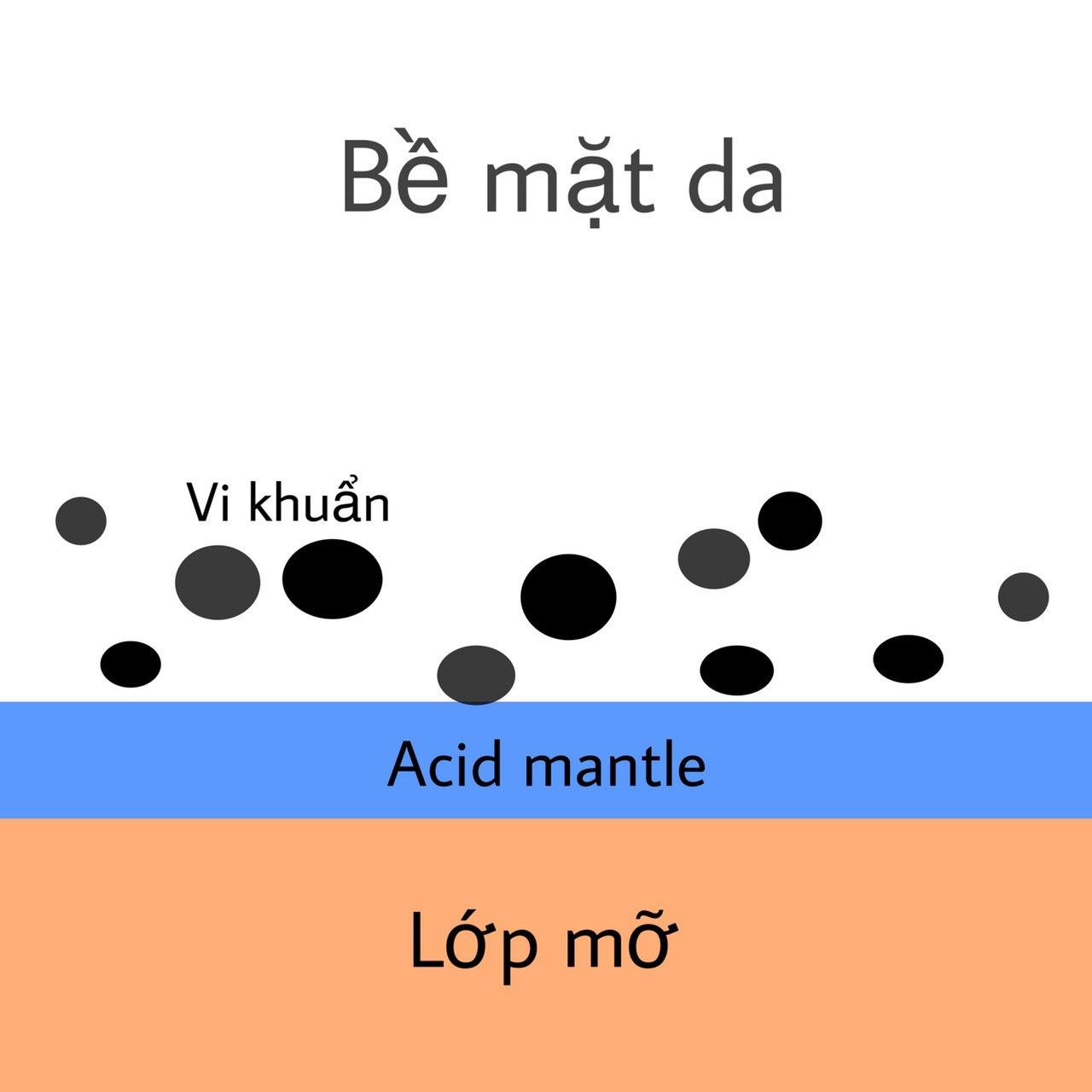 Tìm Hiểu Về Acid Mantle: Tầng Bảo Vệ Quan Trọng Của Da