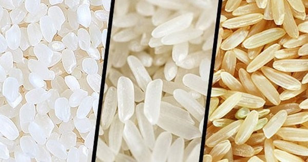 Am hiểu các loại gạo trên thị trường