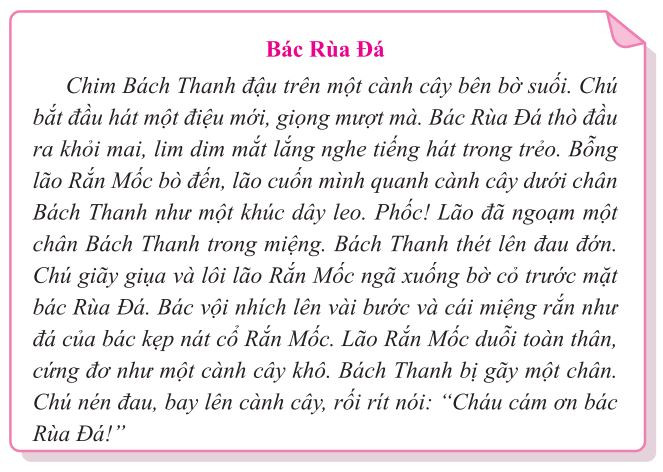 Các dạng bài tập Tiếng Việt lớp 3 kỳ 2