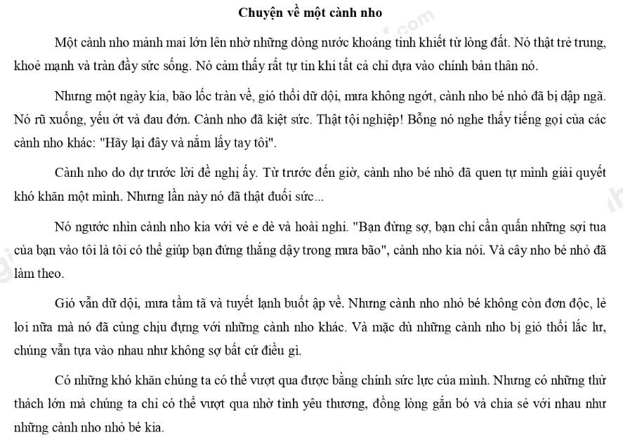 Đề thi giữa kì 1 Tiếng Việt lớp 5