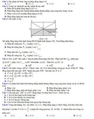 Bài Tập Phép Đồng Dáng