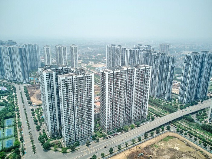 Phân Tích Xu Hướng Bất Động Sản Năm 2025: Cơ Hội và Thách Thức Cho Người Tuổi Tý
