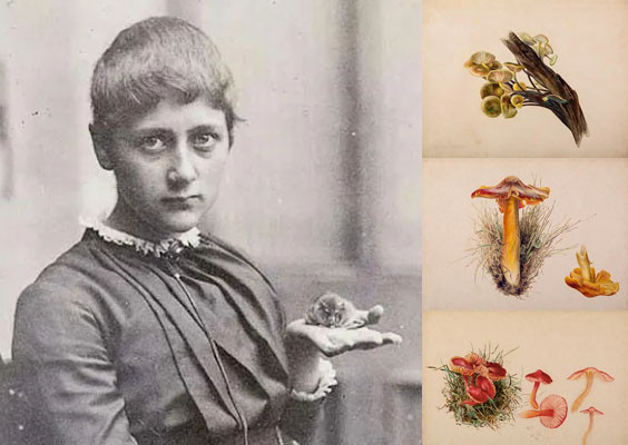 Beatrix Potter thích nghiên cứu nấm