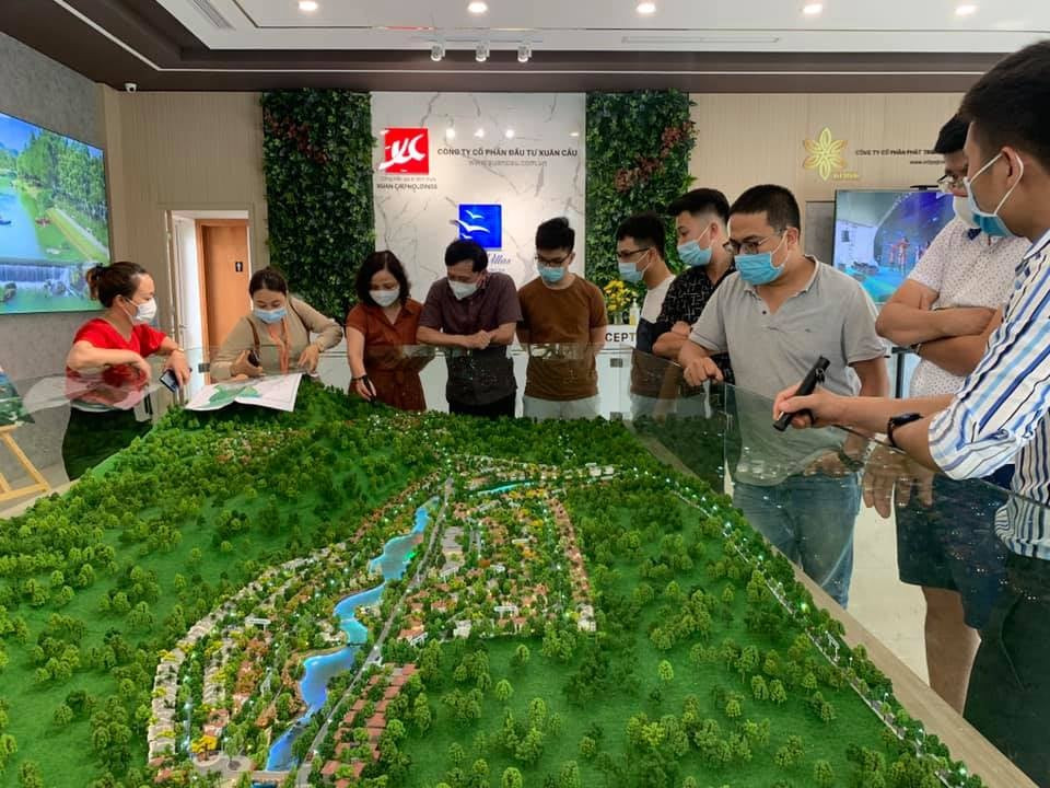Biệt thự Xanh Villas