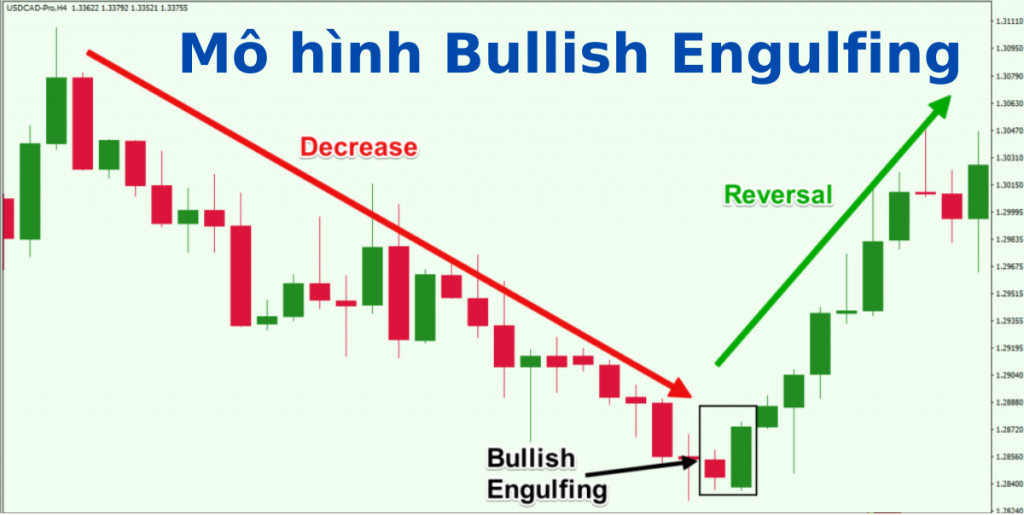 Biểu hiện của Bullish