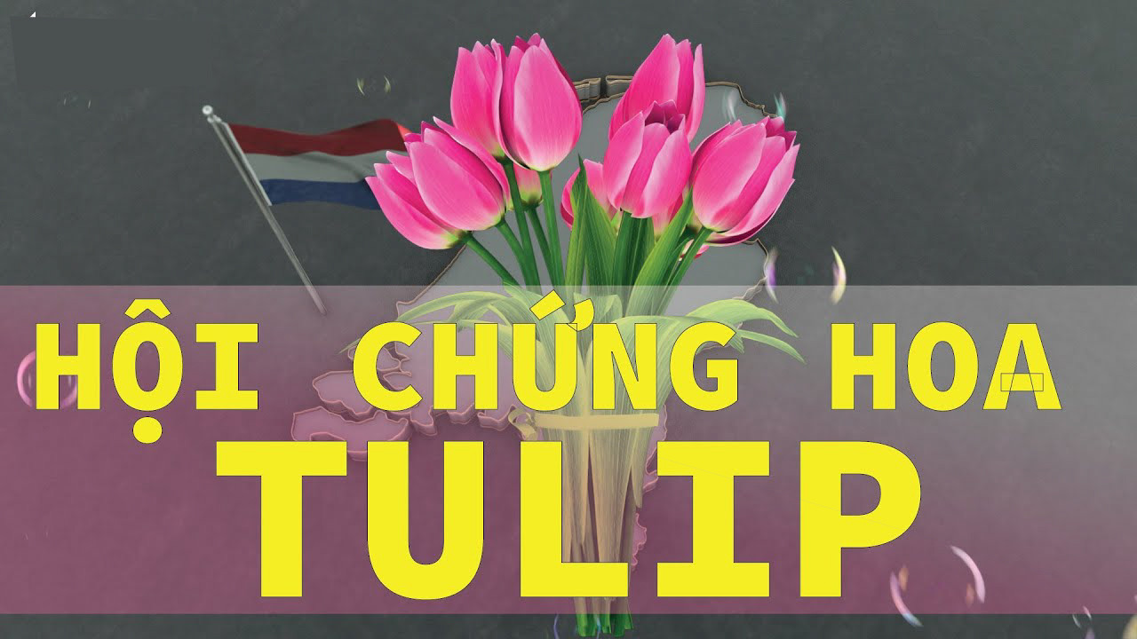 Bong bóng hoa Tulip: Thứ kinh điển trong lịch sử tài chính
