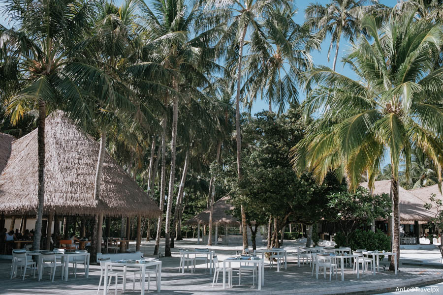 Bữa trưa tại Madi Restaurant