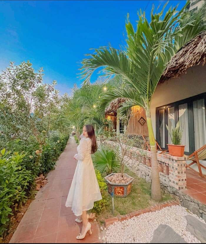 Bungalow tiện nghi tại Tam Cốc Rice Fields Resort
