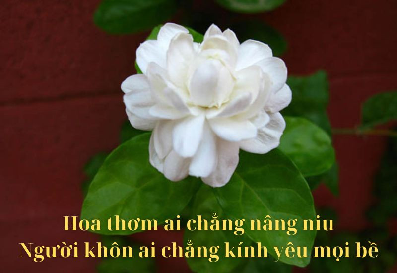 ca-dao-tuc-ngu-ve-loi-an-tieng-noi