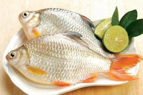 Cá diếc