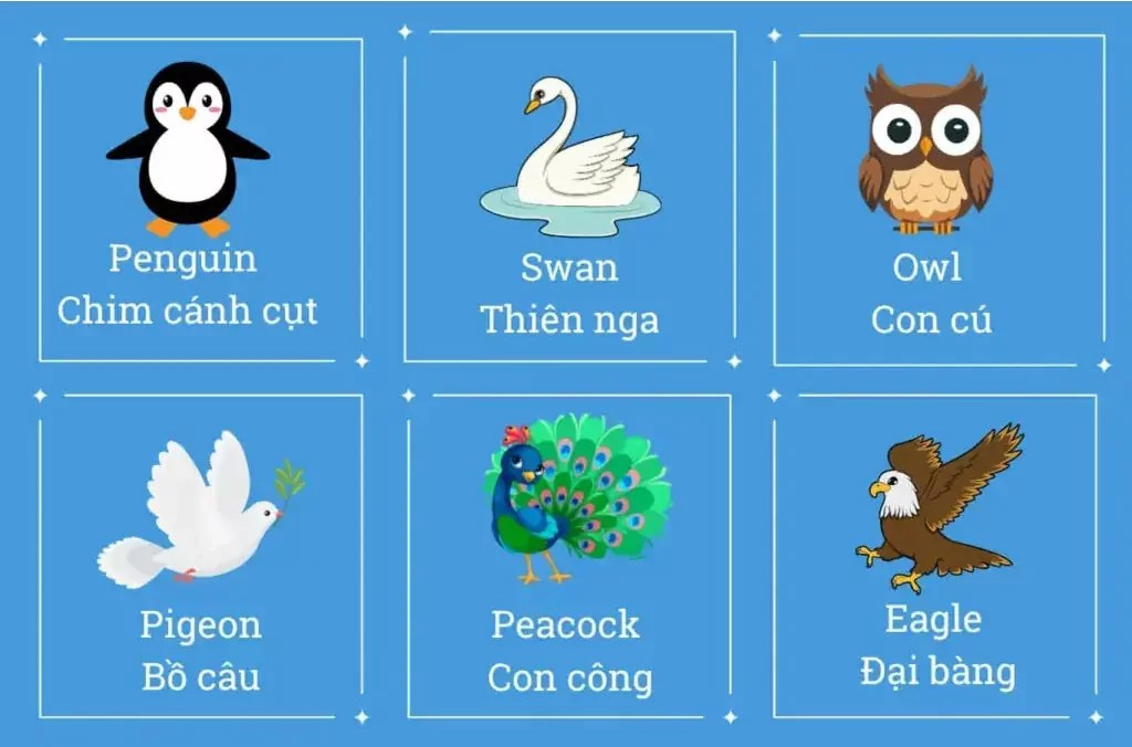 Các Con Vật Trong Tiếng Anh Chủ Đề Các Loại Chim