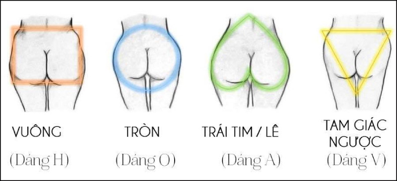 Tìm hiểu về các dáng mông phụ nữ phổ biến và cách cải thiện