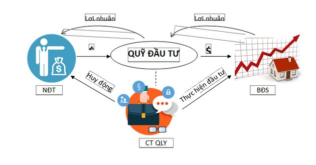 các loại quỹ đầu tư