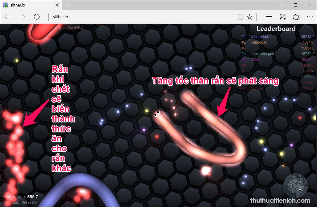 Cách điều khiển rắn trong game