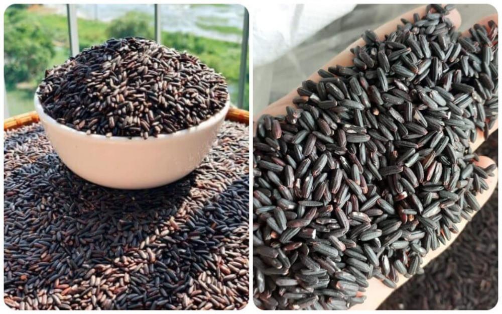 Cách phân biệt gạo lứt đen thật và giả