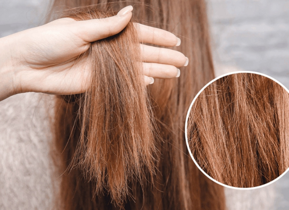 Cách phục hồi tóc hư tổn do nhuộm