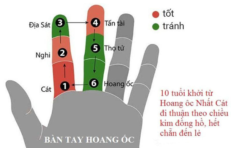 Cách tính hoàng ốc