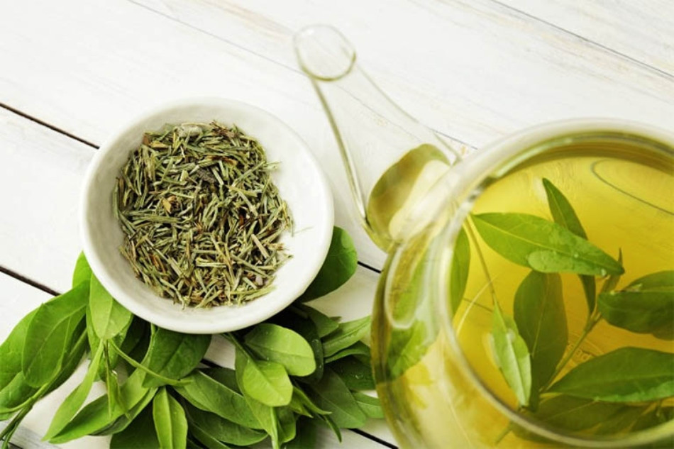 Cách trị hết gàu bằng lá trà xanh