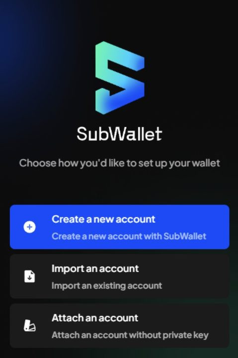 Cài đặt SubWallet thành công