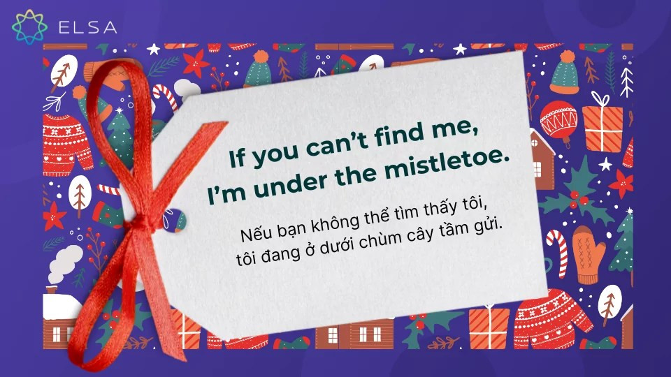 Caption Giáng sinh tiếng Anh hài hước
