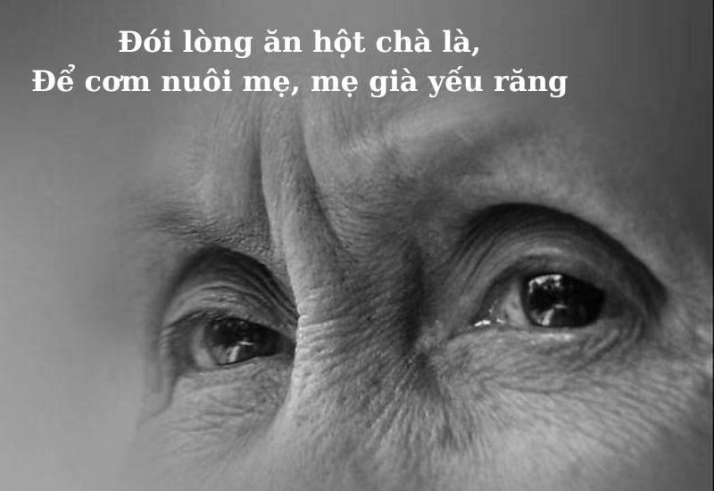 Câu ca dao về lòng hiếu thảo