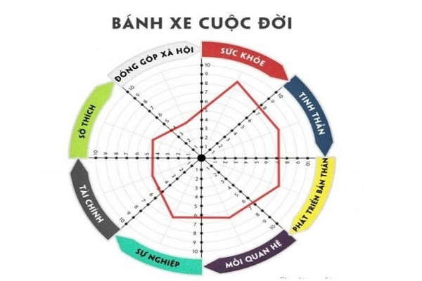 Cấu tạo của bánh xe cuộc đời