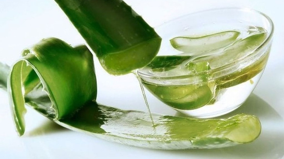 Chăm sóc tóc hư tổn trở nên mềm mại với gel nha đam