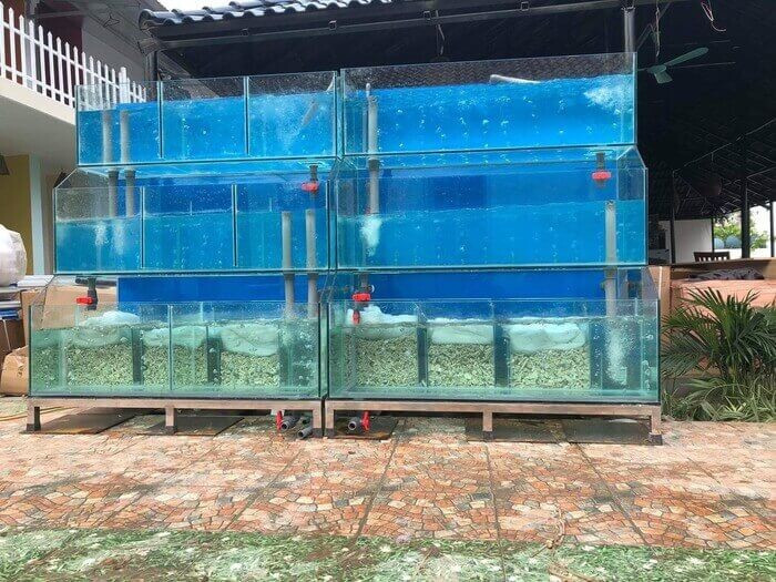 Chi phí trang thiết bị cho nhà hàng hải sản