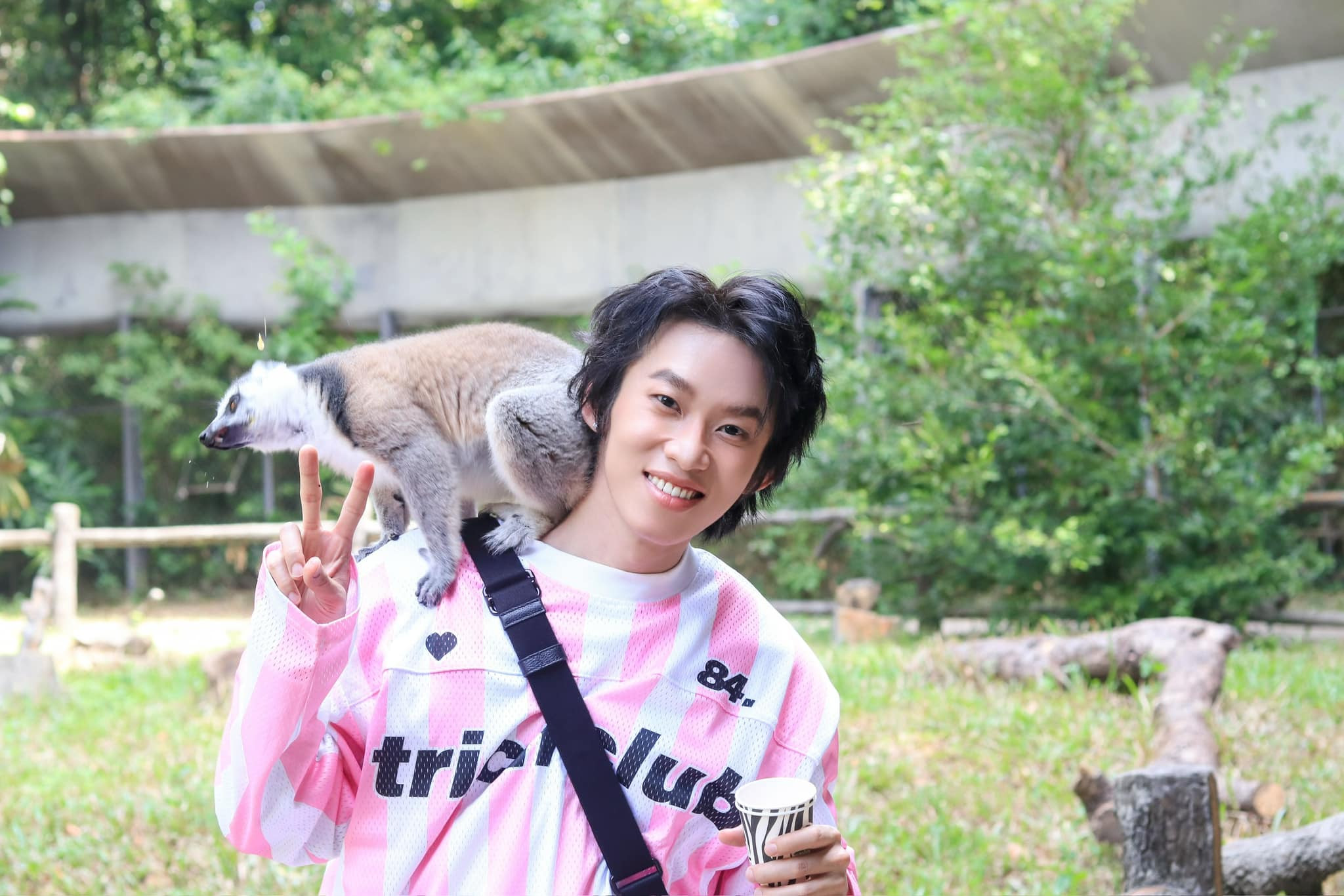 Cho động vật ăn tại Safari