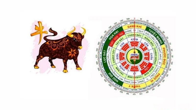 Chọn hướng nhà phù hợp cho tuổi Quý Sửu