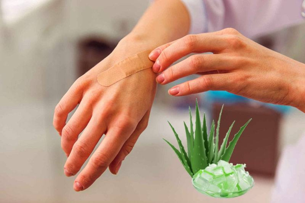 Chữa lành các vết cắt nhỏ và giảm thiểu hình thành sẹo