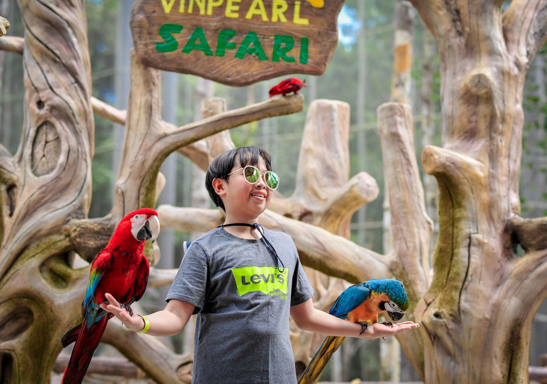 Chụp ảnh cùng động vật tại Vinpearl Safari Phú Quốc