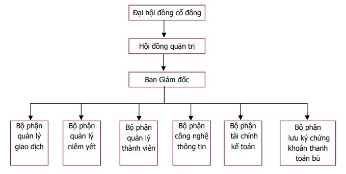 Cơ cấu tổ chức của sàn giao dịch chứng khoán