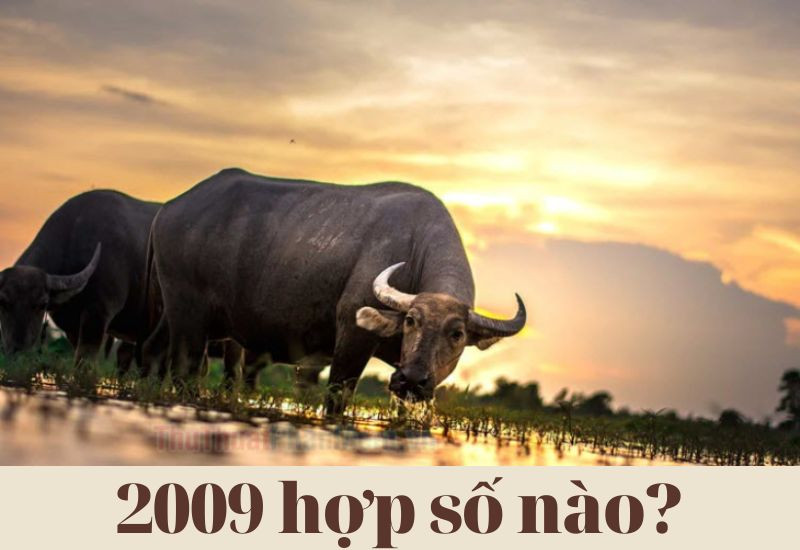 Tuổi Kỷ Sửu 2009 và Những Con Số May Mắn