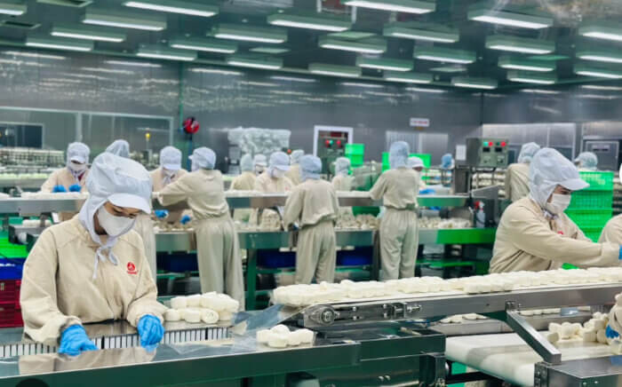 Công nghệ sản xuất bánh bao tiên tiến