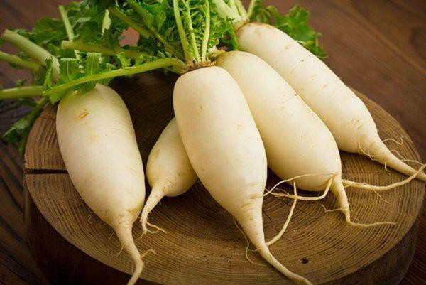 Củ cải đường là thực phẩm tốt cho sức khỏe trẻ nhỏ