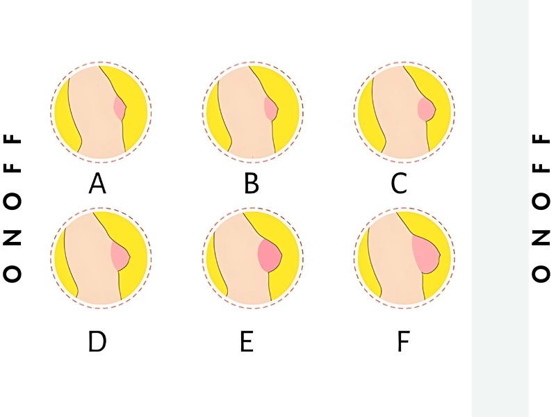 Cup ngực là gì? Hướng dẫn đo cup ngực và chọn áo lót phù hợp