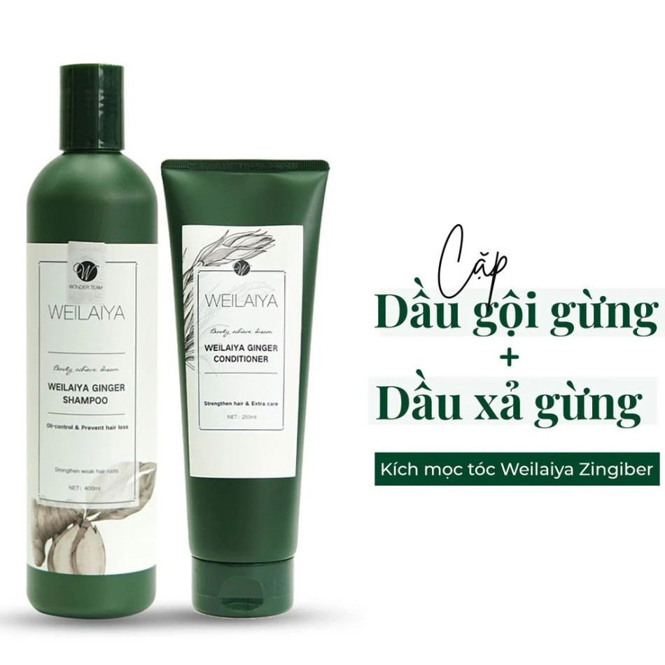12 Sản phẩm dầu gội giúp tóc dài nhanh và hiệu quả nhất hiện nay