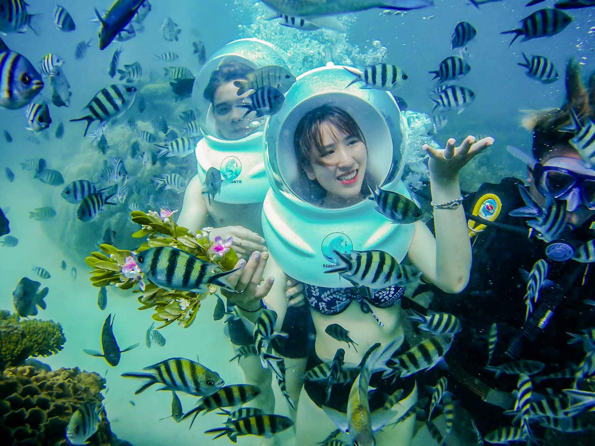 6 Hiểu Lầm Về Tour Đảo Phú Quốc Mà Mọi Du Khách Cần Biết