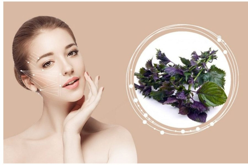 Điều trị nám chân đinh tại nhà bằng phương pháp tự nhiên