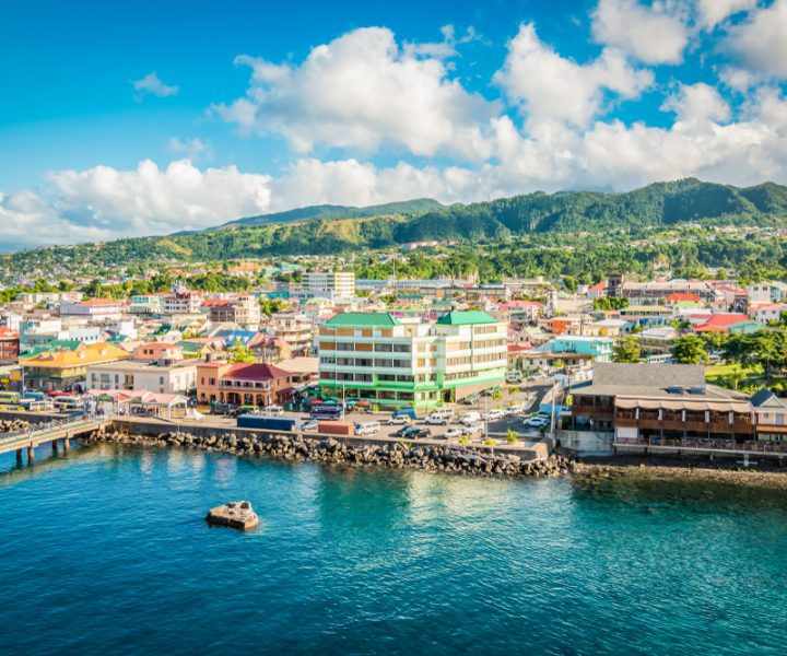 Định cư Dominica