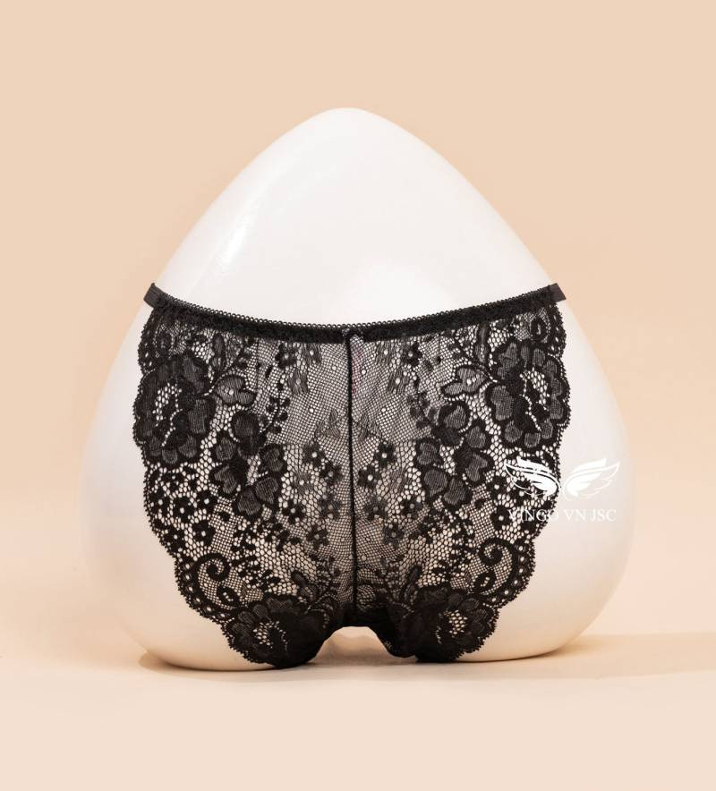 Đồ lót ren lưới