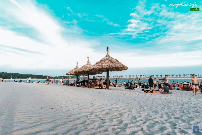 Dragon Ocean Đồ Sơn đặc biệt thu hút khách hàng