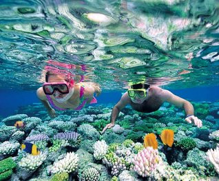 6 Tips For Choosing The Best Snorkeling Tour