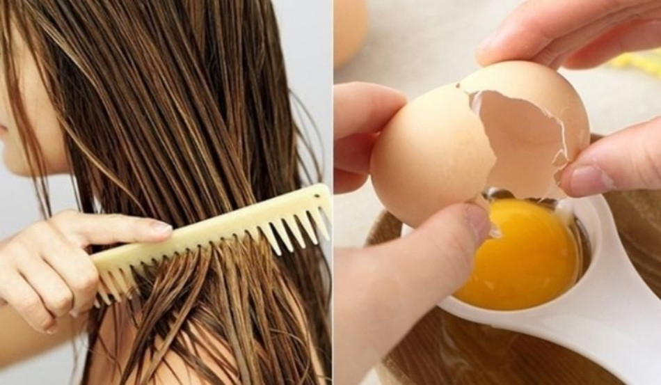 Dùng Mật Nạ Ủ Tóc Từ Trứng Gà
