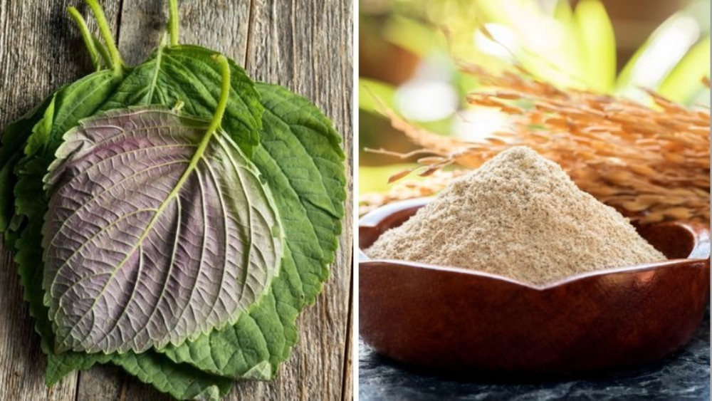 Dưỡng da bằng lá tía tô và bột gạo