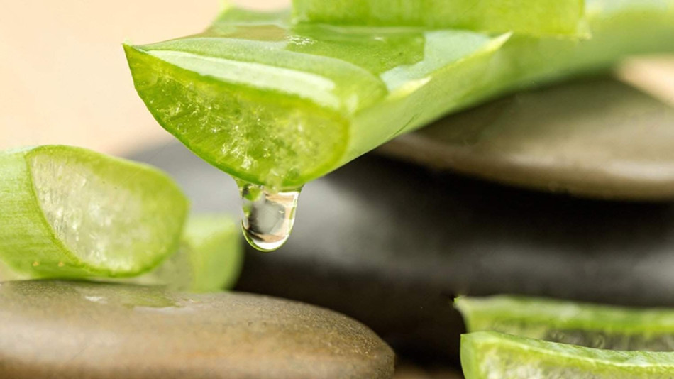 Dưỡng Da Tại Nhà Với Mặt Nạ Nha Đam