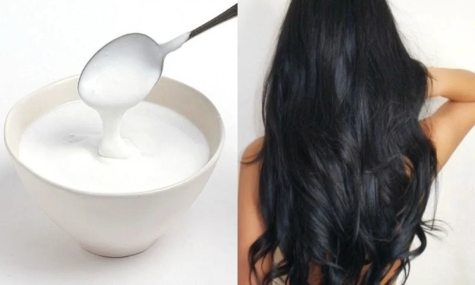 Dưỡng tóc khô xơ cực nhanh bằng sữa chua