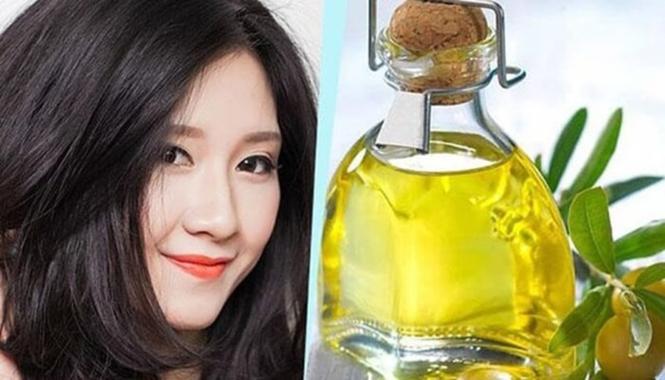 Dưỡng tóc khô xơ nhanh chóng bằng dầu oliu